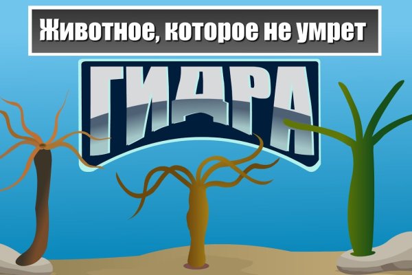 Как найти кракен в торе