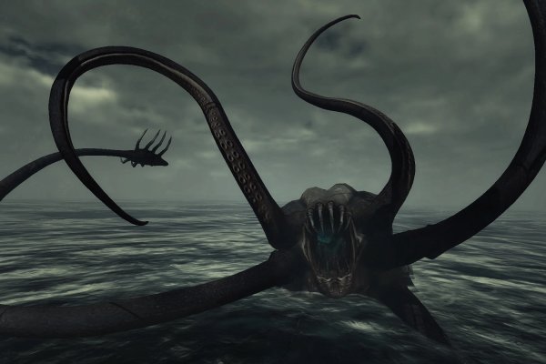 Kraken рабочий