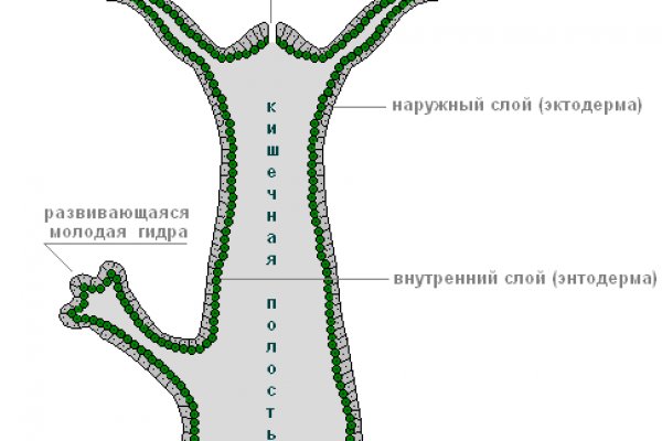 Кракен не заходит